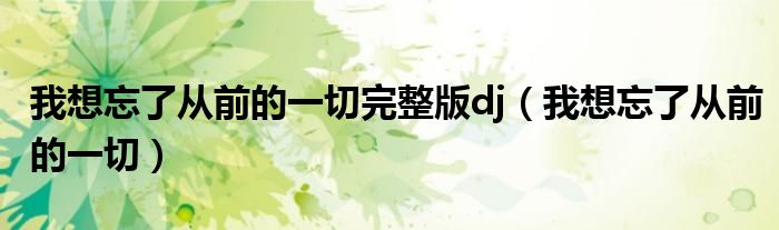 我想忘了从前的一切(我想忘了从前的一切完整版dj)