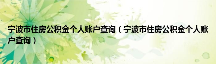 宁波市住房公积金个人账户查询(宁波市住房公积金个人账户查询)