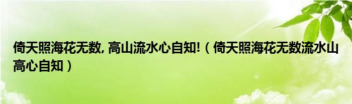 倚天照海花无数流水山高心自知(倚天照海花无数, 高山流水心自知!)