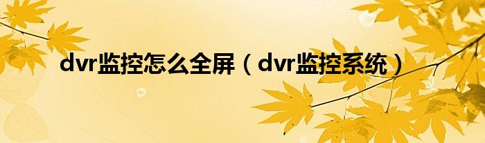 dvr监控系统(dvr监控怎么全屏)