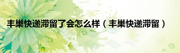 丰巢快递滞留(丰巢快递滞留了会怎么样)