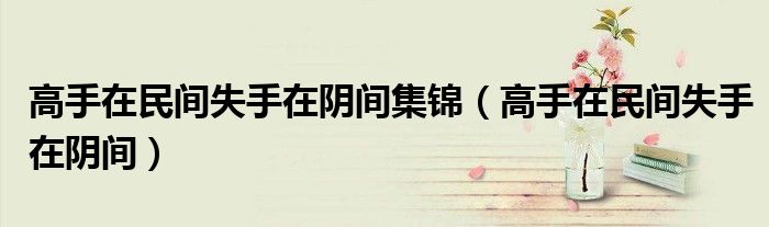 高手在民间失手在阴间(高手在民间失手在阴间集锦)