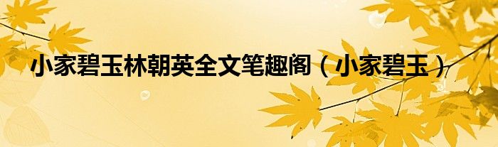 小家碧玉(小家碧玉林朝英全文笔趣阁)