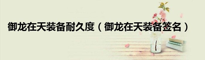 御龙在天装备签名(御龙在天装备耐久度)