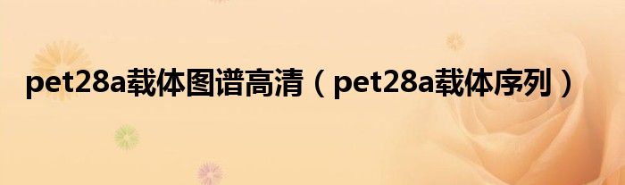 pet28a载体序列(pet28a载体图谱高清)
