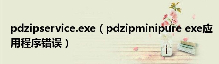 pdzipminipure exe应用程序错误(pdzipservice.exe)