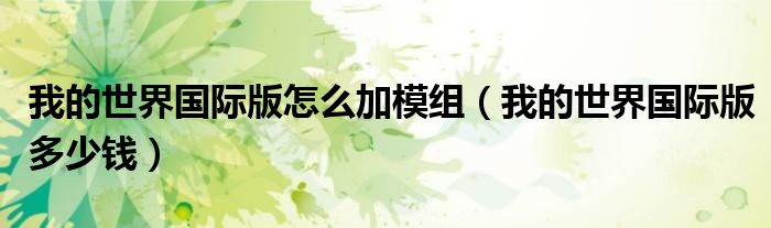 我的世界国际版多少钱(我的世界国际版怎么加模组)