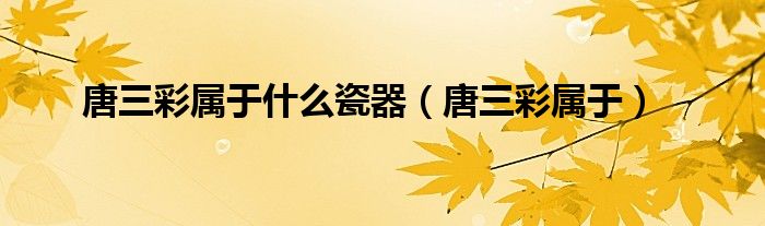 唐三彩属于(唐三彩属于什么瓷器)
