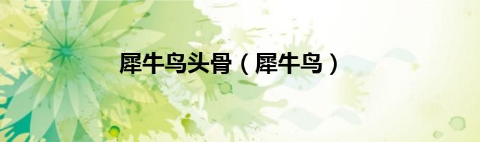 犀牛鸟(犀牛鸟头骨)