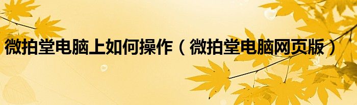 微拍堂电脑网页版(微拍堂电脑上如何操作)