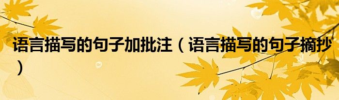 语言描写的句子摘抄(语言描写的句子加批注)