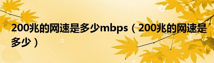200兆的网速是多少(200兆的网速是多少mbps)