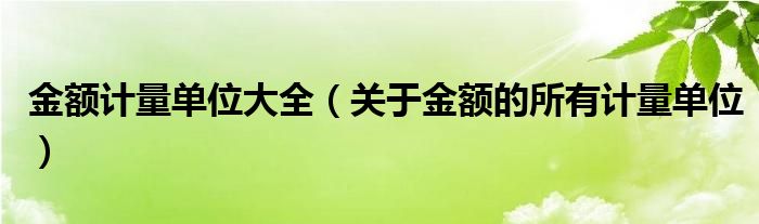 关于金额的所有计量单位(金额计量单位大全)
