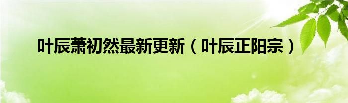 叶辰正阳宗(叶辰萧初然最新更新)