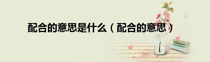 配合的意思(配合的意思是什么)