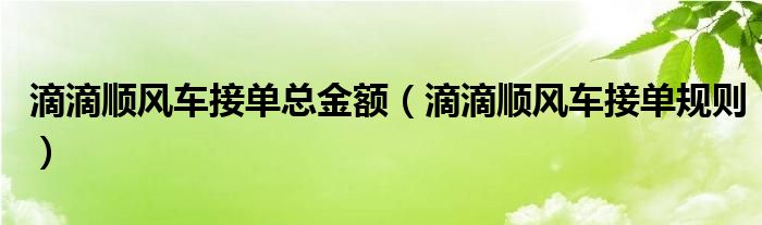 滴滴顺风车接单规则(滴滴顺风车接单总金额)