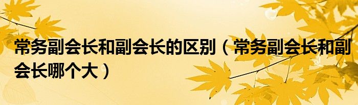 常务副会长和副会长哪个大(常务副会长和副会长的区别)