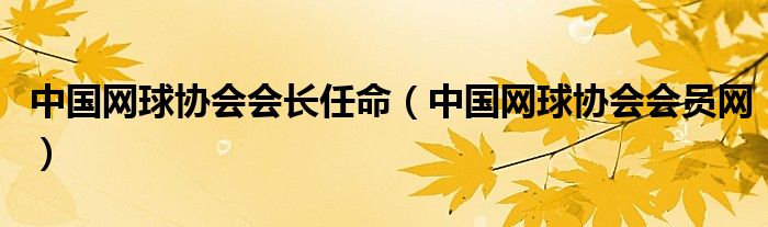 中国网球协会会员网(中国网球协会会长任命)