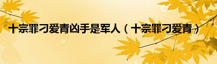 十宗罪刁爱青(十宗罪刁爱青凶手是军人)