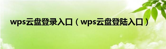 wps云盘登陆入口(wps云盘登录入口)
