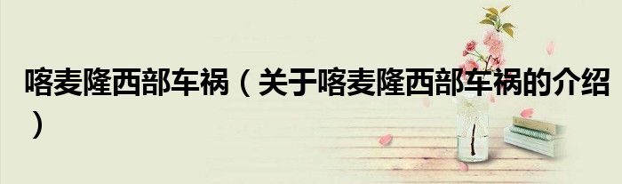 关于喀麦隆西部车祸的介绍(喀麦隆西部车祸)