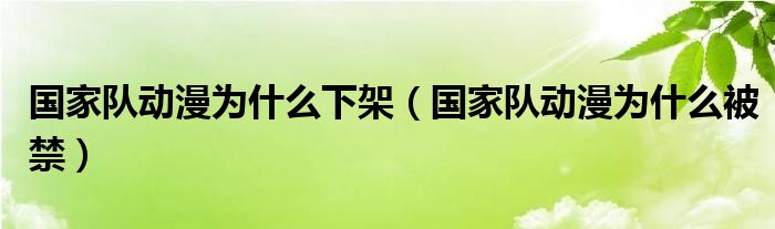 国家队动漫为什么被禁(国家队动漫为什么下架)