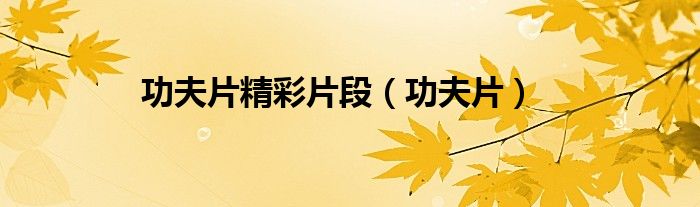 功夫片(功夫片精彩片段)