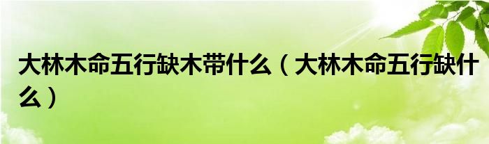 大林木命五行缺什么(大林木命五行缺木带什么)