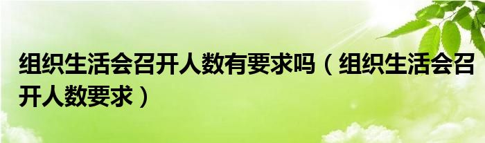 组织生活会召开人数要求(组织生活会召开人数有要求吗)