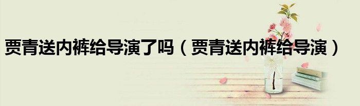 贾青送内裤给导演(贾青送内裤给导演了吗)