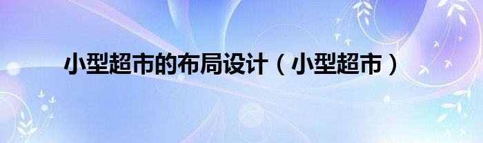 小型超市(小型超市的布局设计)