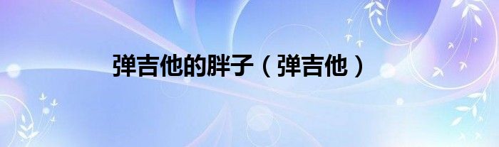 弹吉他(弹吉他的胖子)