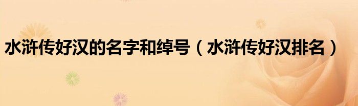 水浒传好汉排名(水浒传好汉的名字和绰号)