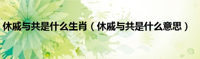休戚与共是什么意思(休戚与共是什么生肖)