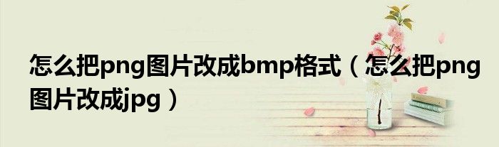 怎么把png图片改成jpg(怎么把png图片改成bmp格式)