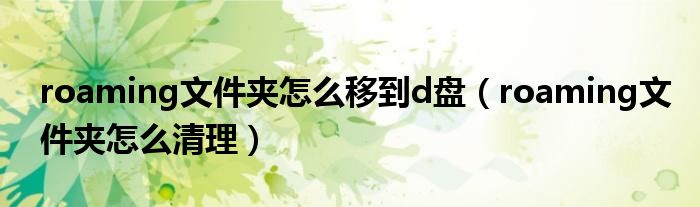 roaming文件夹怎么清理(roaming文件夹怎么移到d盘)