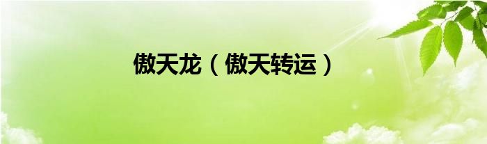 傲天转运(傲天龙)