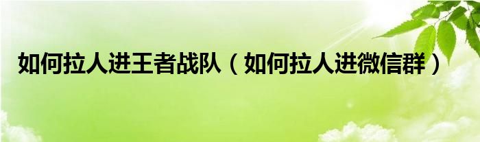 如何拉人进微信群(如何拉人进王者战队)