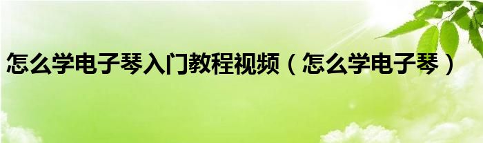 怎么学电子琴(怎么学电子琴入门教程视频)