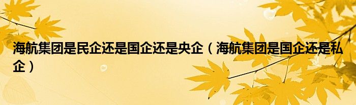 海航集团是国企还是私企(海航集团是民企还是国企还是央企)