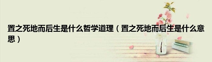 置之死地而后生是什么意思(置之死地而后生是什么哲学道理)