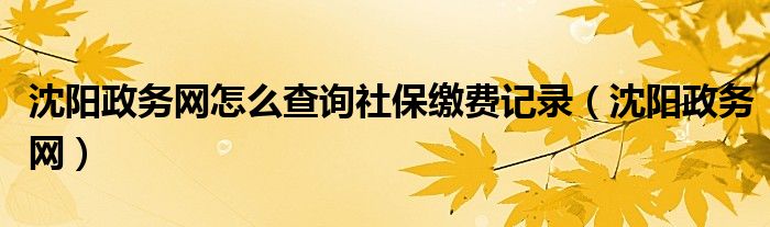 沈阳政务网(沈阳政务网怎么查询社保缴费记录)