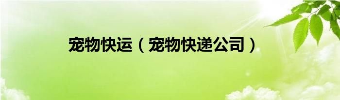 宠物快递公司(宠物快运)