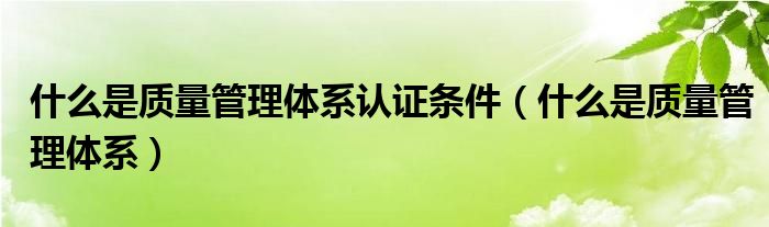 什么是质量管理体系(什么是质量管理体系认证条件)