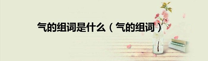 气的组词(气的组词是什么)