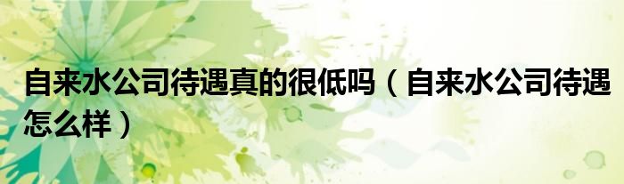 自来水公司待遇怎么样(自来水公司待遇真的很低吗)