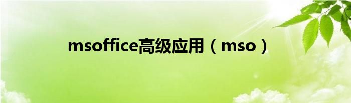 mso(msoffice高级应用)