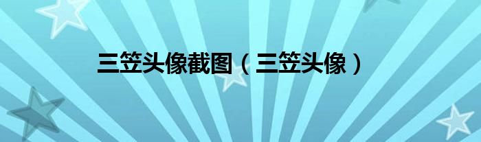 三笠头像(三笠头像截图)