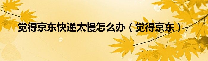 觉得京东(觉得京东快递太慢怎么办)
