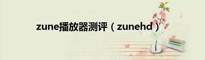 zunehd(zune播放器测评)